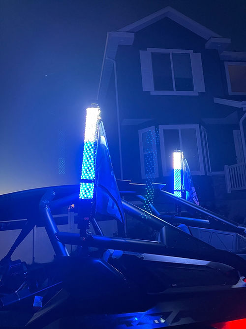 PRO SERIES Flash Whips Pair